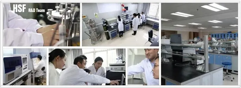 HSF Research and Development Team HSF Research and Development Team