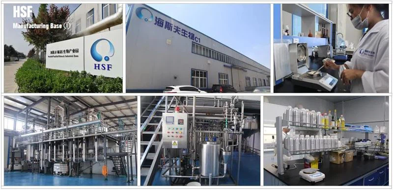 HSF Manufacturing Base-1