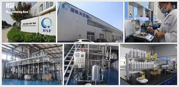 HSF Manufacturing Base