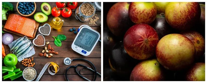 Camu camu extract's application