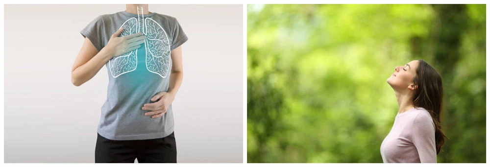 Respiratory Health Respiratory Health