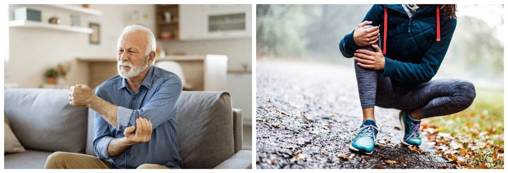 Joint health Joint health