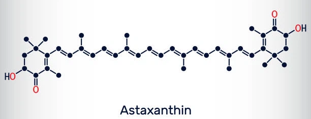 istockphoto-1310595999-612x612 istockphoto-1310595999-612x612