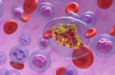 info-612-404 info-612-404