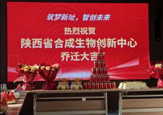 news-547-386 news-547-386