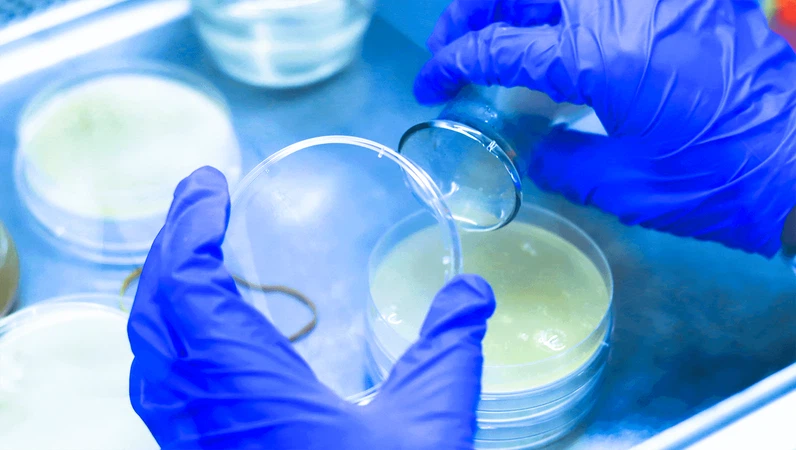 product-1600-905 product-1600-905