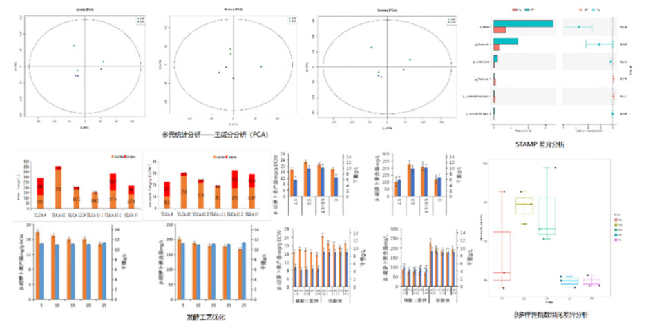 product-948-479 product-948-479
