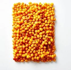Aceite de semilla de espino cerval de mar vs. aceite de fruta de espino cerva...