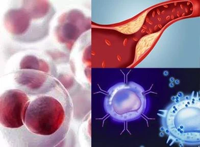 Is Conjugated Linoleic Acid Essential For Animals?