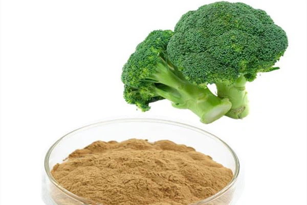 ¿Para qué sirve el polvo de extracto de brócoli?