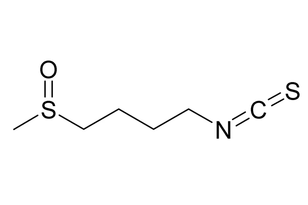 ¿El polvo de extracto de brócoli tiene sulforafano?