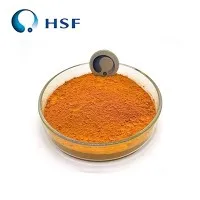 Polvo de cúrcuma fermentada